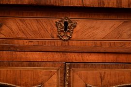 03907-Antique-French-Kingwood-Display-Cabinet-C1860-10