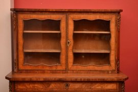 03907-Antique-French-Kingwood-Display-Cabinet-C1860-3
