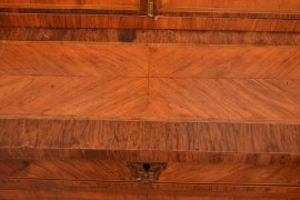 03907-Antique-French-Kingwood-Display-Cabinet-C1860-8