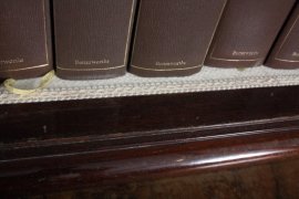 Antique-English-Victorian-Walnut-Marquetry-Bookcase-7