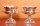 01071-Exquisite-Pair-of-Sheffield-Silver-Plated-Wine-Coolers-1