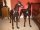 01077-Stunning-Pair-Lifesize-Bronze-Greyhound-Dogs-1