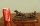 01313-Stunning-Bronze-Imperial-Russia-Winter-Scene-Grachev-7