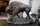 01835-Spectacular-Enormous-Life-Size-Bronze-Bison-Sculpture-1