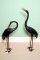 02250-Stunning-Pair-Bronze-Crane-Sculptures-1