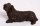 02686-Charming-Bronze-Spaniel-Puppy-Dog-Sculpture-1