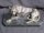 02894-Stunning-Bronze-Sculpture-Leopard-Marble-Base-1