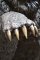 02987-Amazing-Life-Size-Bronze-Bear-Brass-Claws-Garden-Statue-10