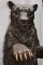02987-Amazing-Life-Size-Bronze-Bear-Brass-Claws-Garden-Statue-5