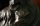 Beautiful-Bronze-Sculpture-of-Eros-by-Moreau-6