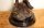 Delightful-Bronze-Dancing-Cornish-Pixie-Playing-Shell-6