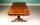 Fine-Victorian-Cabriole-Inlaid-Burr-Walnut-Coffee-Table-2
