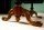 Fine-Victorian-Cabriole-Inlaid-Burr-Walnut-Coffee-Table-5