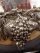 Gorgeous-Silver-Plated-Monteith-Punch-Bowl-2