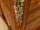 Pair-Louis-XV-Style-Walnut-Inlaid-Bedside-Drawers-10
