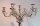 Pair-MATTHEW-BOULTON-Large-Silver-7-Light-Candelabra-2
