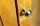 Stunning-Art-Deco-Birdseye-Maple-Oval-Display-Cabinet-7