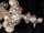 Stunning-Victorian-Style-Sterling-Silver-Baby-Rattle-2