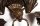 Unusual-Pair-Bronze-Bat-Wall-Candelabras-Boulton-3