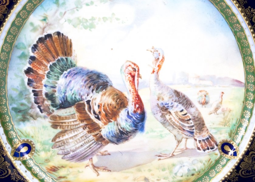 A look at some beautiful antique hand painted porcelain plates