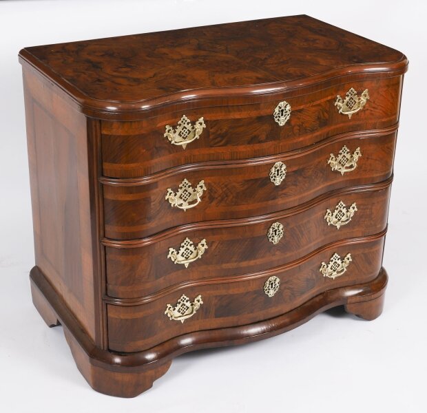 Stunning New Arrivals to Ring in the New Year Stunning New Arrivals to Ring in the New Year