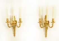 Antique Adam Revival Pair Decorative Triple Branch Wall Lights 19th C