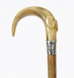Antique Rhinoceros Horn Handled Walking Cane Stick Silver Handle 19th C