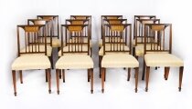 Vintage Set 12 Sheraton Revival Dining Chairs From Harrods Late 20C