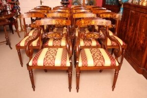 Gorgeous Set of 14 Regency  Dining Armchairs/Chairs | Ref. no. 00821 | Regent Antiques