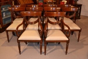 Set 10 Swag Back Regency Style Dining Chairs | Regency Swag Back Chairs | Ref. no. 04333 | Regent Antiques
