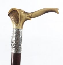 Antique Walking Stick Elephant Handle Silver Collar 19th C | Ref. no. 09041 | Regent Antiques