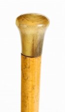 Antique Domed Horn Pommel Corkscrew Walking Stick Cane, C1880
