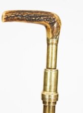 Antique Helixophile& 39 s Novelty Walking Stick Corkscrew Cane 19thC 97cm 38inches