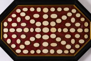 Antique Large Ebonised Framed Collection Grand Tour Classical Intaglios 19th C