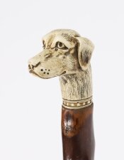 Antique Vizsla Dog Head Walking Cane Stick 19thC 93cm 36.5inches | Ref. no. A5187b | Regent Antiques