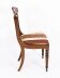 Set 12 Regency Revival Burr Walnut Marquetry Dining Chairs | Ref. no. 00820X | Regent Antiques