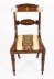 Set 12 Regency Revival Burr Walnut Marquetry Dining Chairs | Ref. no. 00820X | Regent Antiques