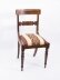 Set of 12 Regency Dining Chairs | | Ref. no. 02178 | Regent Antiques