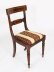 Splendid Bespoke Set of 12 Regency Revival Dining Chairs Armchairs | Ref. no. 02178X | Regent Antiques