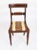 Splendid Bespoke Set of 12 Regency Revival Dining Chairs Armchairs | Ref. no. 02178X | Regent Antiques