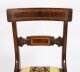 Splendid Bespoke Set of 12 Regency Revival Dining Chairs Armchairs | Ref. no. 02178X | Regent Antiques