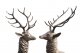 Vintage  Pair Life-Size Bronze Stags Deer Statues 20th Century | Ref. no. 06062 | Regent Antiques