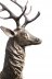 Vintage  Pair Life-Size Bronze Stags Deer Statues 20th Century | Ref. no. 06062 | Regent Antiques