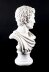 Stunning Marble Bust Marcus Junius Brutus | Ref. no. 07013 | Regent Antiques