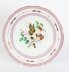 Antique French Pink Porcelain Cabinet Plate c1880 | Ref. no. 08062 | Regent Antiques