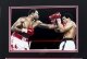Everlast boxing glove autographed by Larry Holmes "Easton Assassin" with COA | Ref. no. 08326x | Regent Antiques