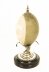 antique bird eggs | antique cameos | Ref. no. 08602 | Regent Antiques