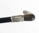 Antique Victorian Horn Handled Walking Cane Stick Silver Handle  19thC | Ref. no. 09042a | Regent Antiques