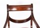 Vintage Set 12 Regency Revival Swag back Dining Chairs 20th Century | Ref. no. A1042 | Regent Antiques