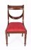 Vintage Set 12 Regency Revival Swag back Dining Chairs 20th Century | Ref. no. A1042 | Regent Antiques